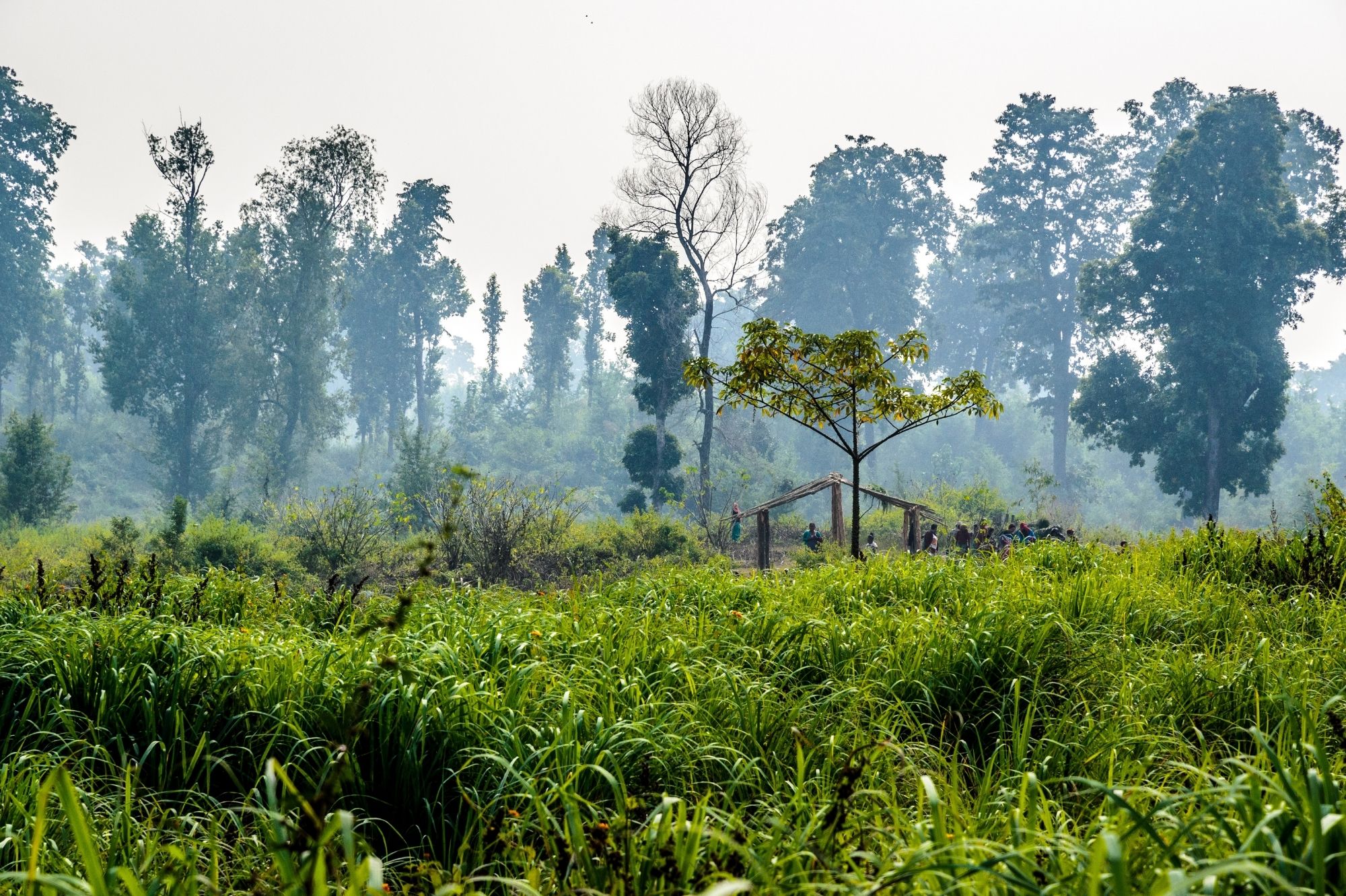 2 Habitat Management And Restoration Wildlife Conservation Nepal WCN 